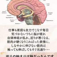 ブログ